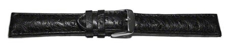 Correa reloj-Avestruz autntico-Cierre de hebilla-color negro